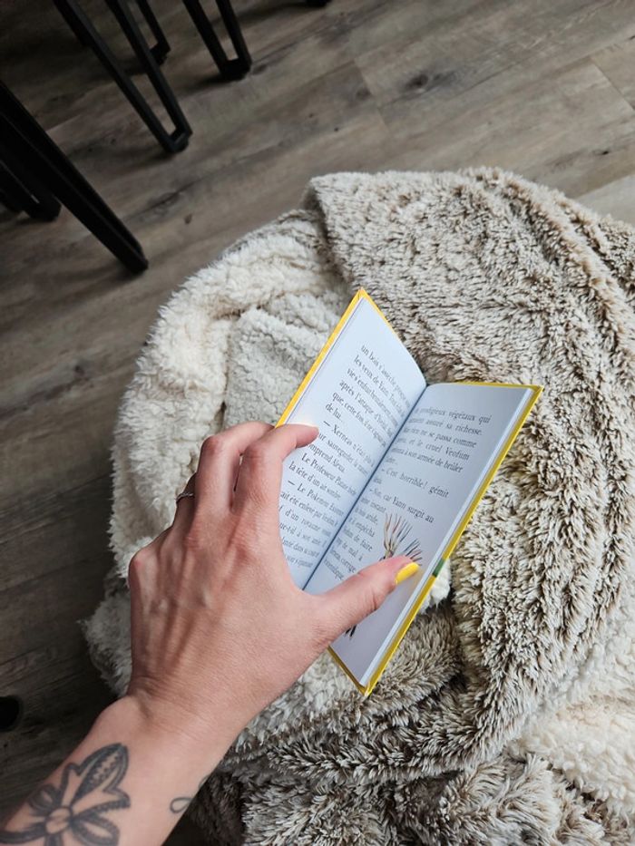 Livre pokémon - photo numéro 7