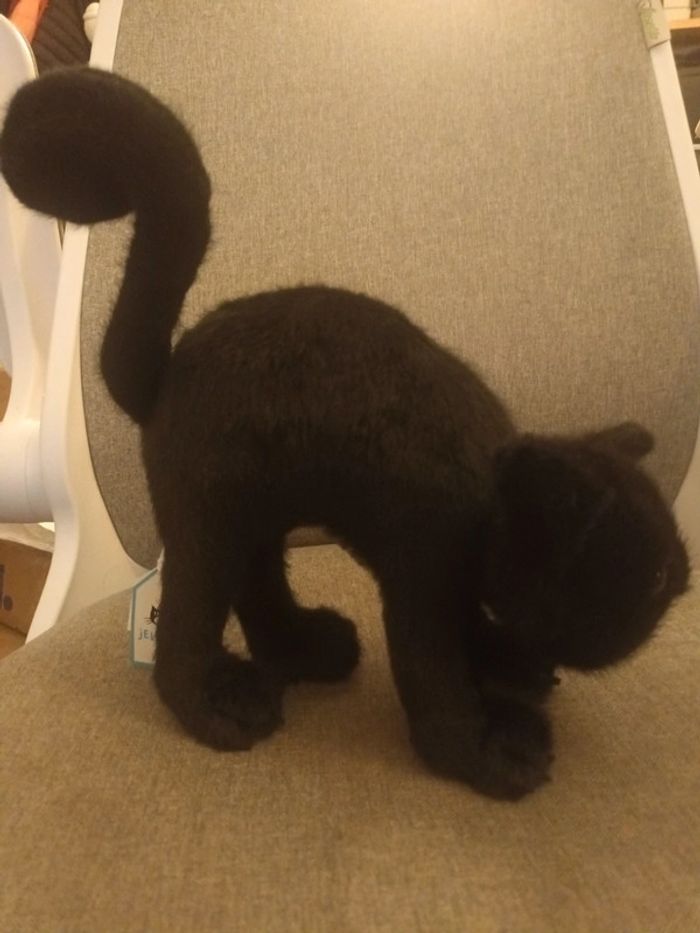 Peluche chat noir jellycat - photo numéro 4