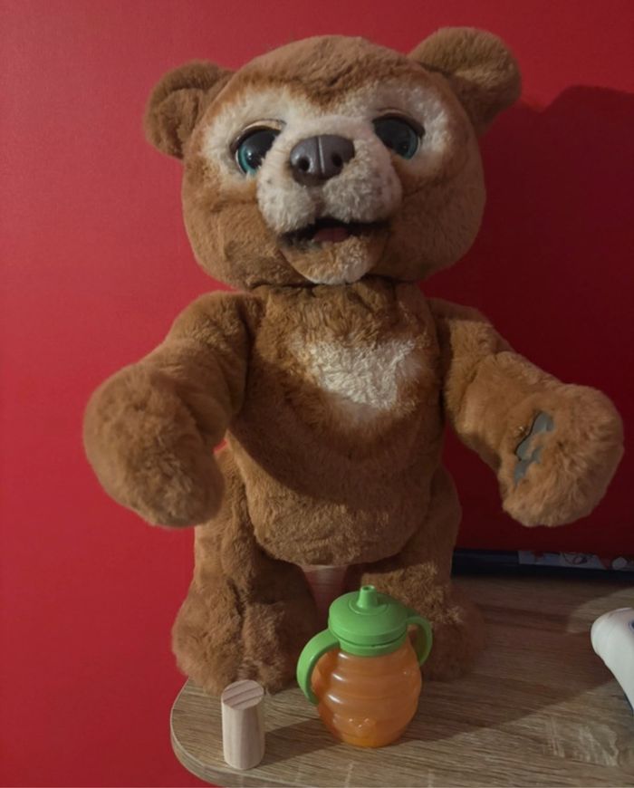 Cubby l’ourson curieux