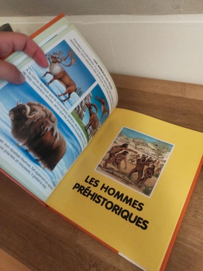 L'imagerie des dinosaures et de la préhistoire - photo numéro 3