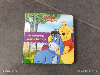 Les aventuriers de Winnie l'ourson
