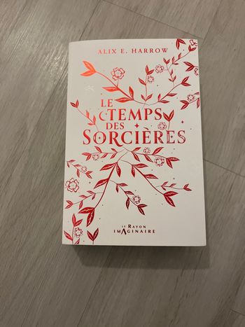 Livre le temps des sorcières