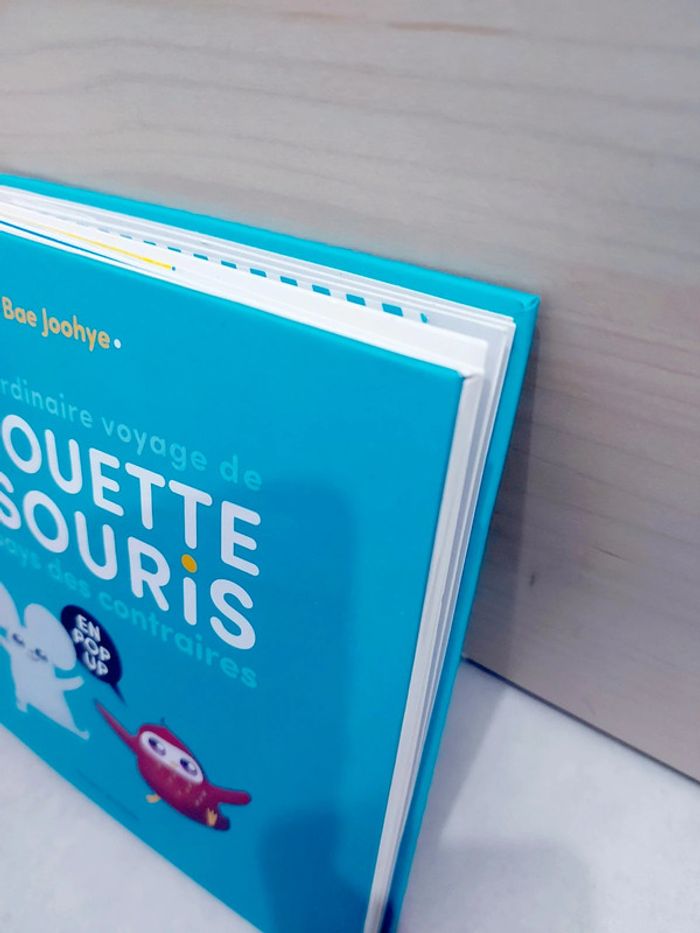 📚 Livre pup up : L'extraordinaire voyage de chouette et souris au pays des contraires - photo numéro 10