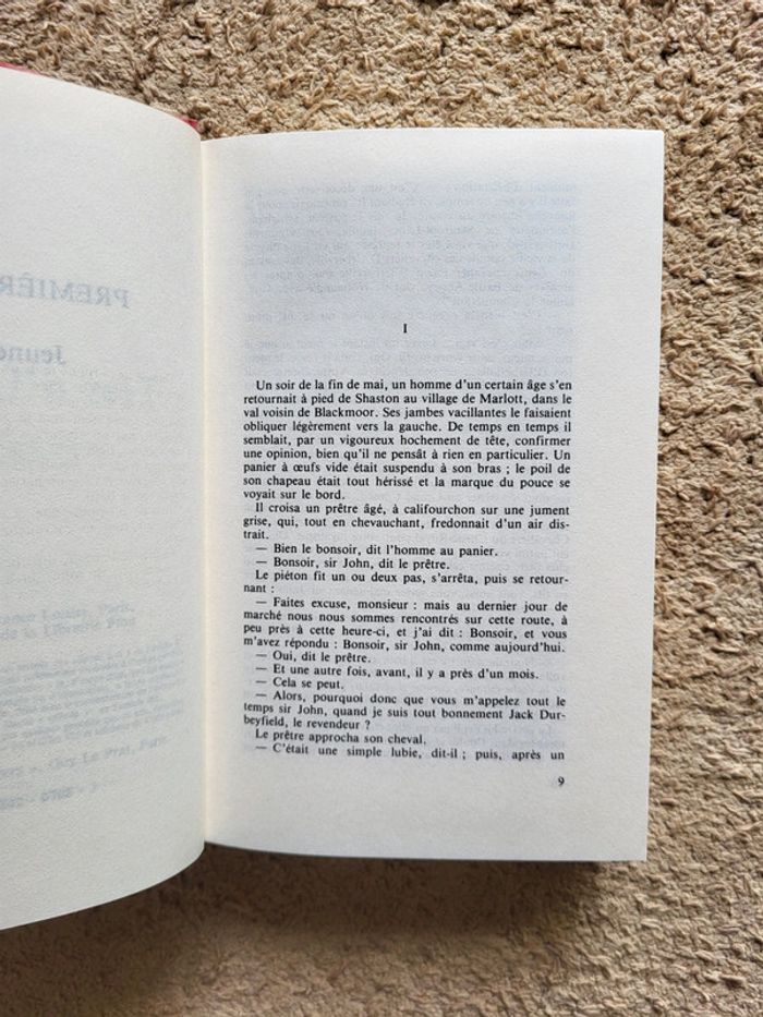 Livre relié "Tess d'Uberville" de Thomas Hardy - photo numéro 6