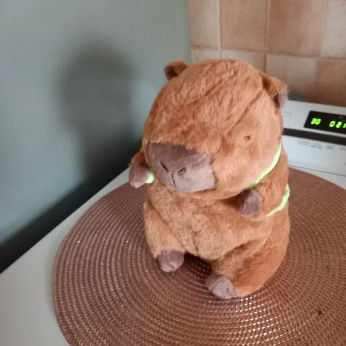 Peluche Capybara - photo numéro 4