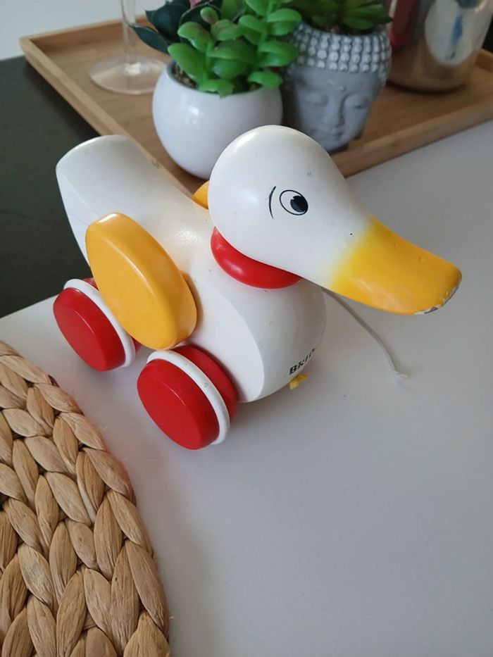 Canard à Tirer Brio 🌿🎁