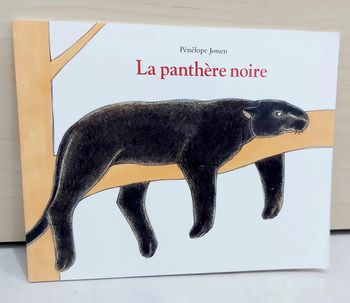 🌺 Livre (école des loisirs) : La panthère noire