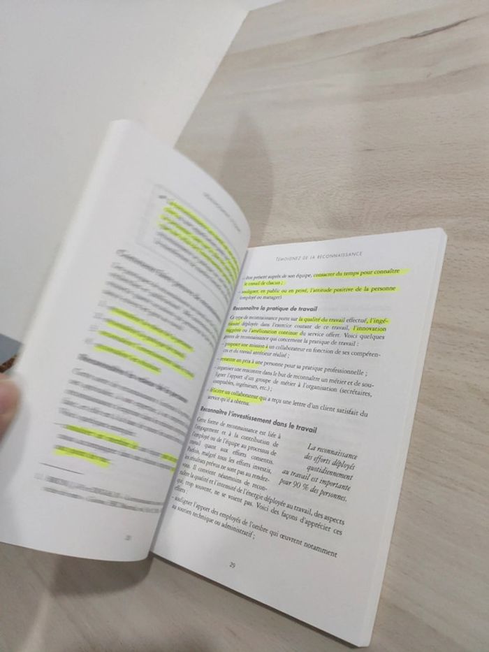 Livre management équipe 7 leviers améliorer bien être efficacité professionnelle Brun - photo numéro 10