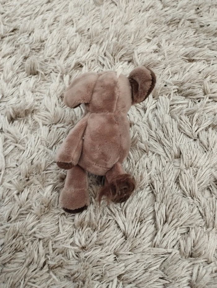 Lot bébés animaux - photo numéro 14