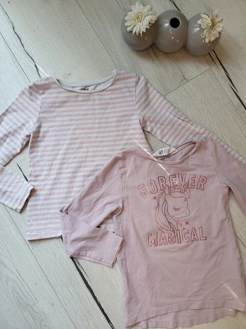 Lot de 2 tee-shirts fille 4/6ans h&m