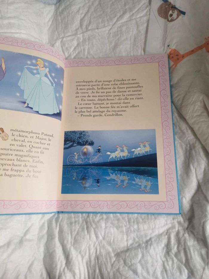 Livre disney nos vies de princesses - photo numéro 2