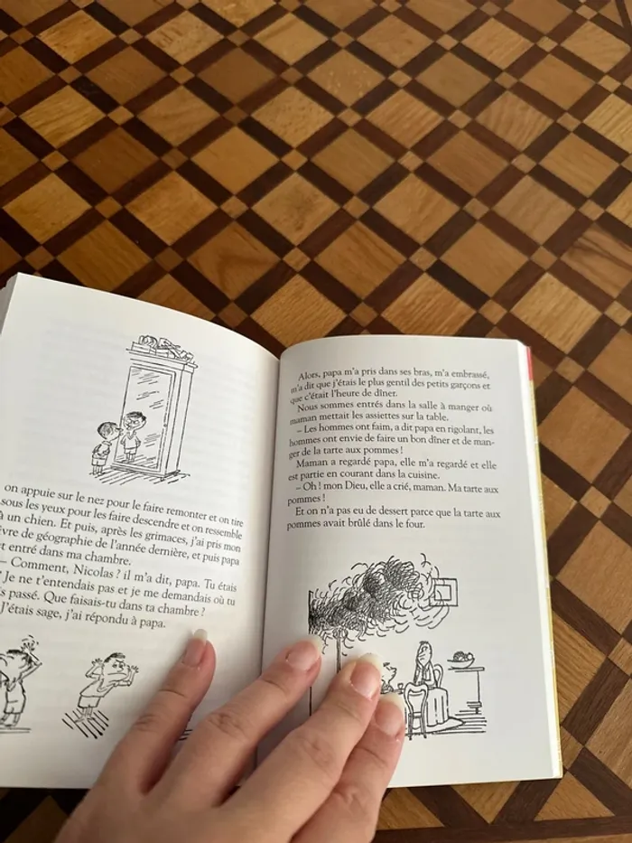Livre Les Bêtises du Petit Nicolas - photo numéro 5