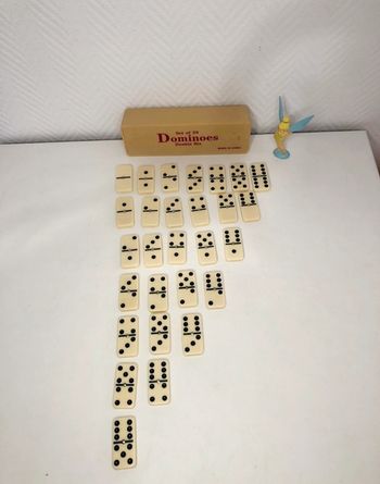 Dominos double six