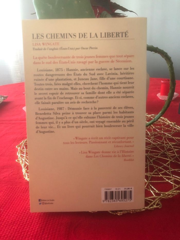 Les chemins de la liberté - Lisa Wingate - photo numéro 2