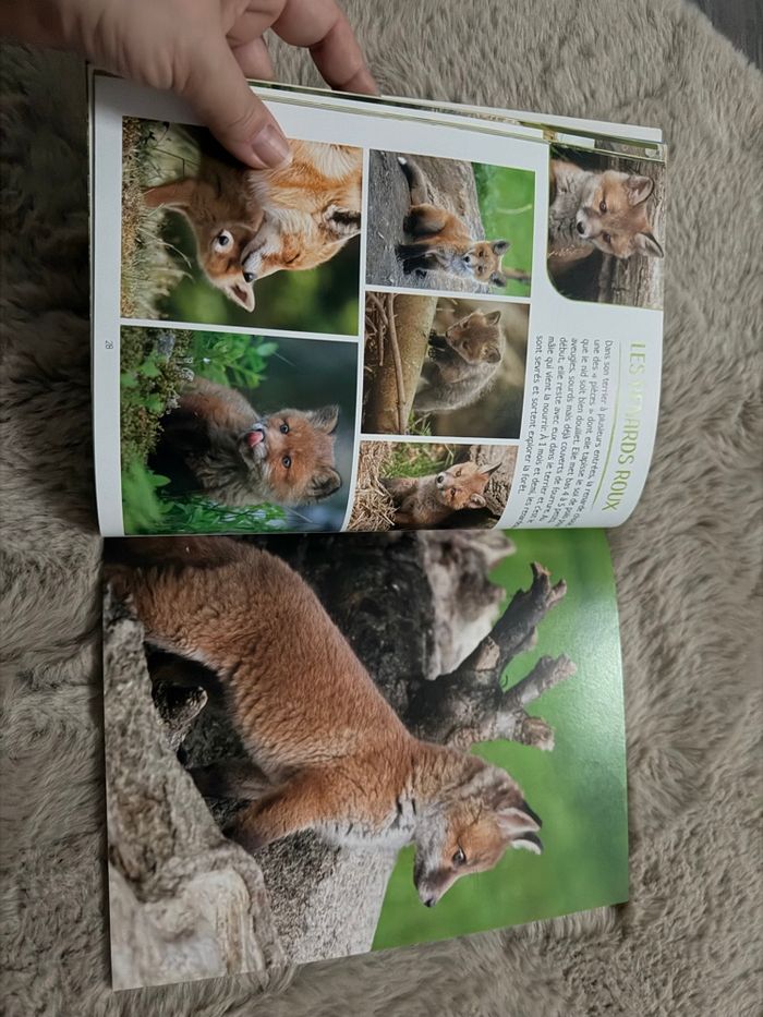 Livre les plus belle photos des bébés animaux - photo numéro 2