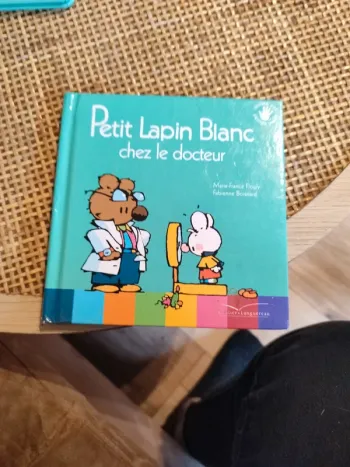 Livre petit lapin blanc