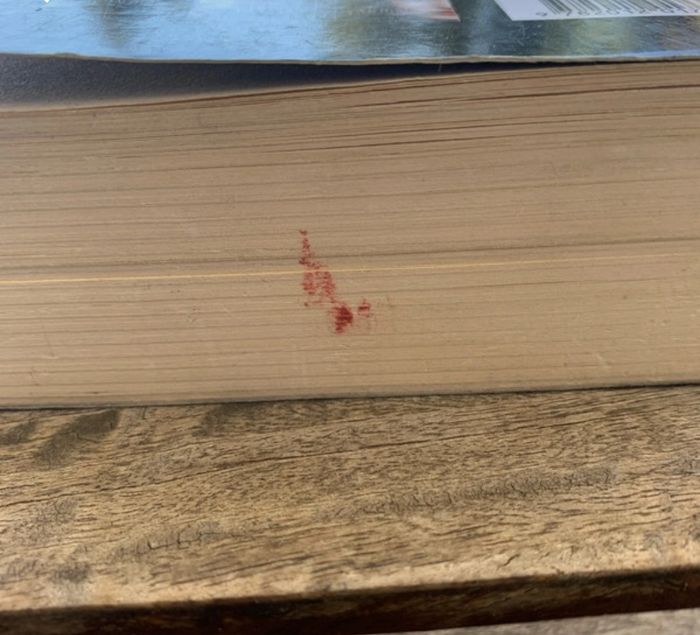 Livre journal d’un vampire - photo numéro 3