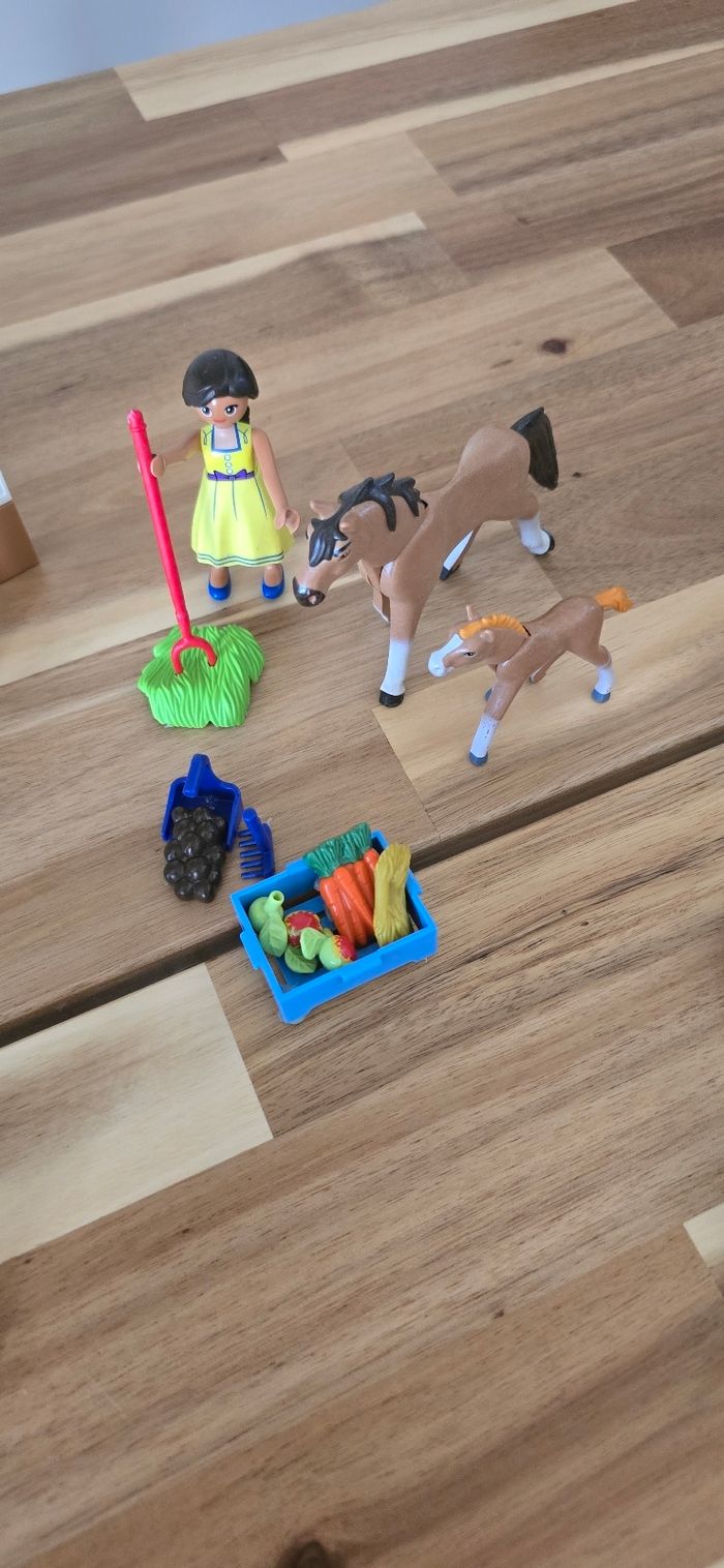 Playmobil spirit maison lucky - photo numéro 9