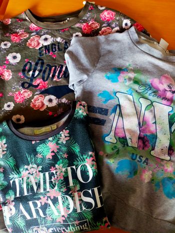 Lot pull fleurie 12/14 ans