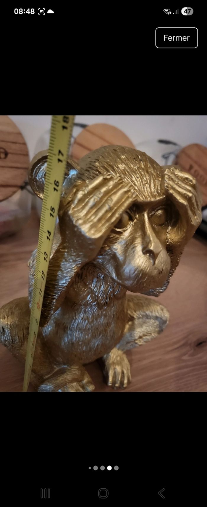 Lot 3 singes - photo numéro 5