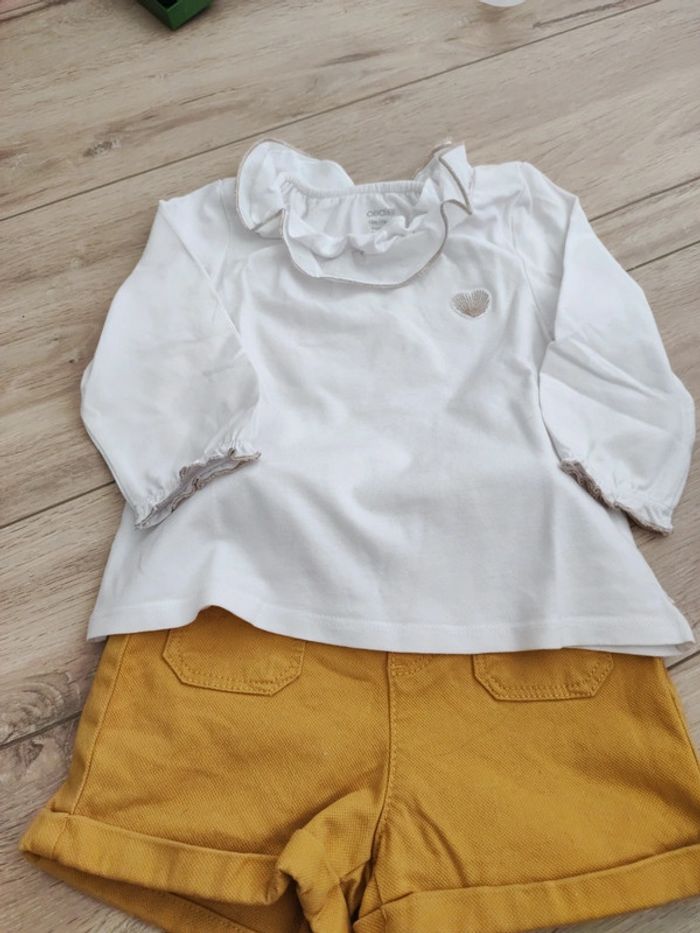 Ensemble okaidi
