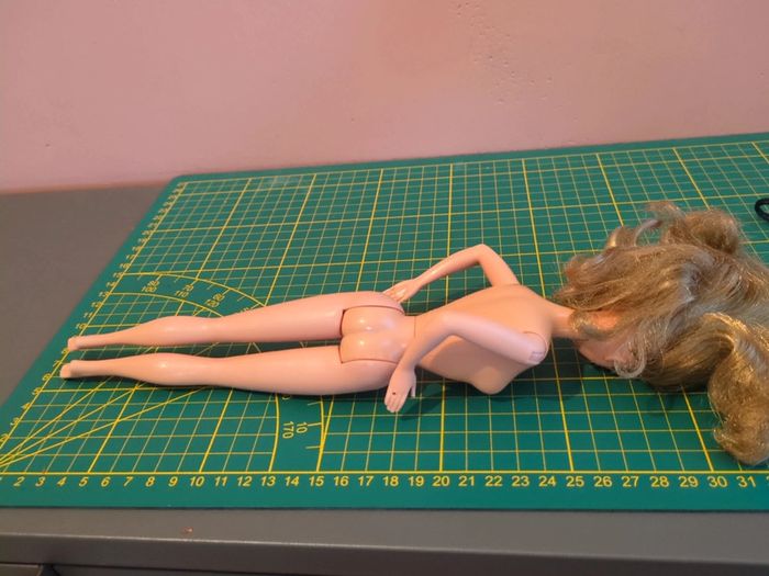 barbie doucoeur - photo numéro 6