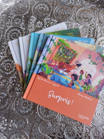 Lot de 5 livres 💙