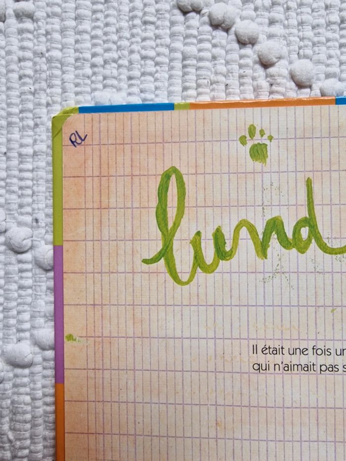 Le loup qui voulait changer de couleur livre enfant - photo numéro 3