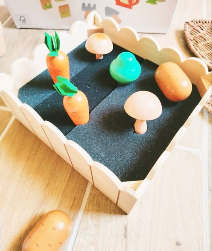 Mon premier potager - photo numéro 3