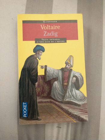 Zadig de Voltaire