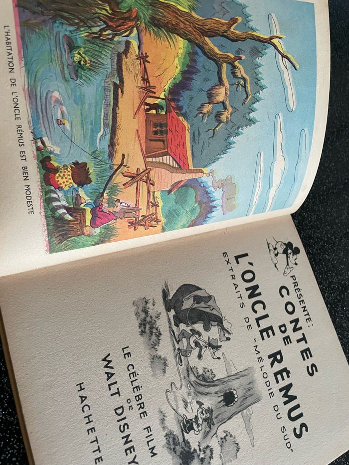 Contes de l’oncle Remus - photo numéro 4