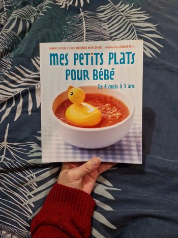 Livre cuisine bébé