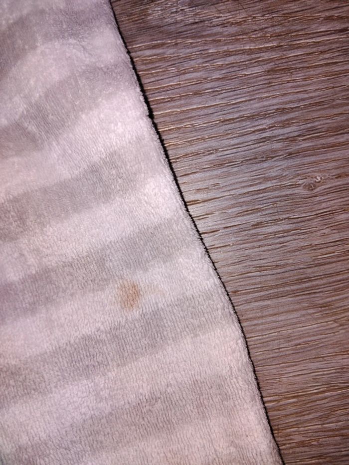 Pyjama Orchestra - photo numéro 5