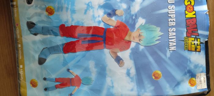 Costume dragonball z - photo numéro 8