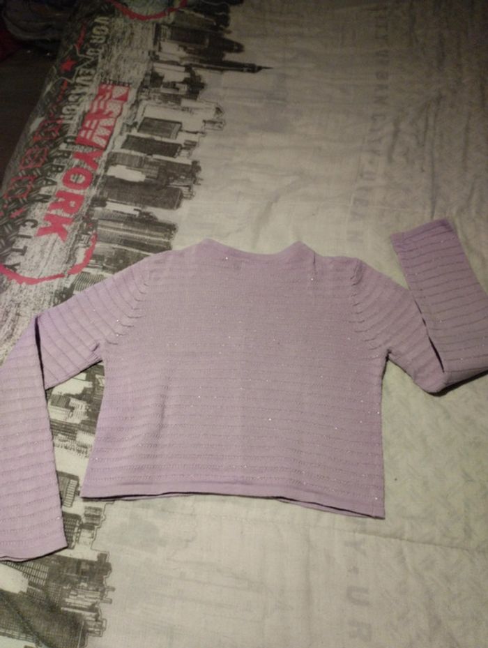 Gilet court violet - photo numéro 3