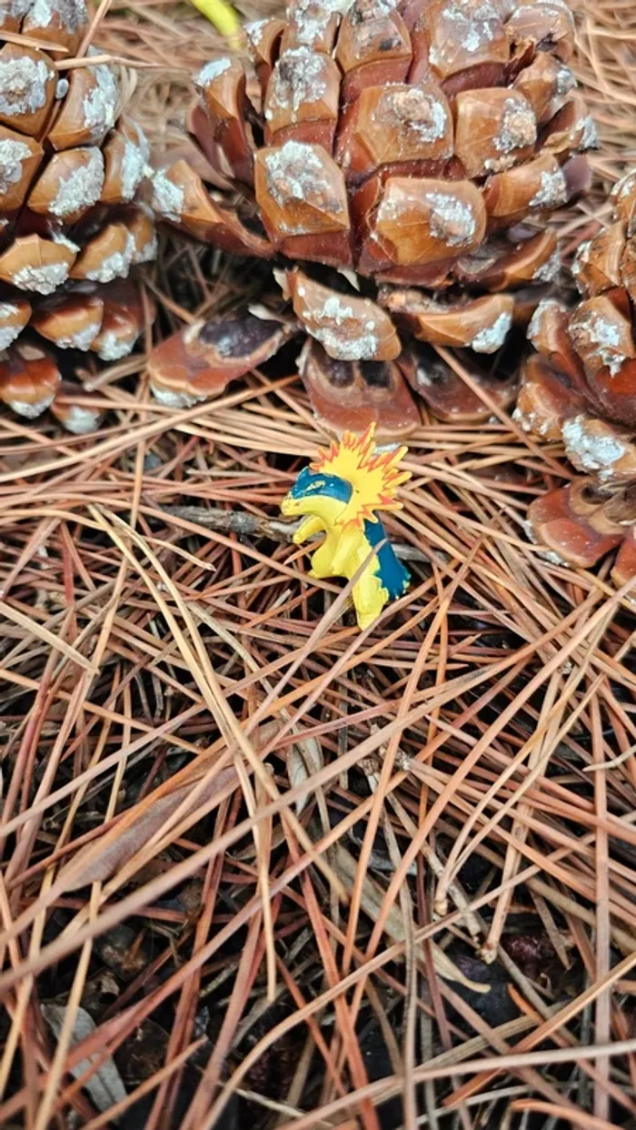 Super petite figurine Pokemon Nintendo typhlosion - photo numéro 2