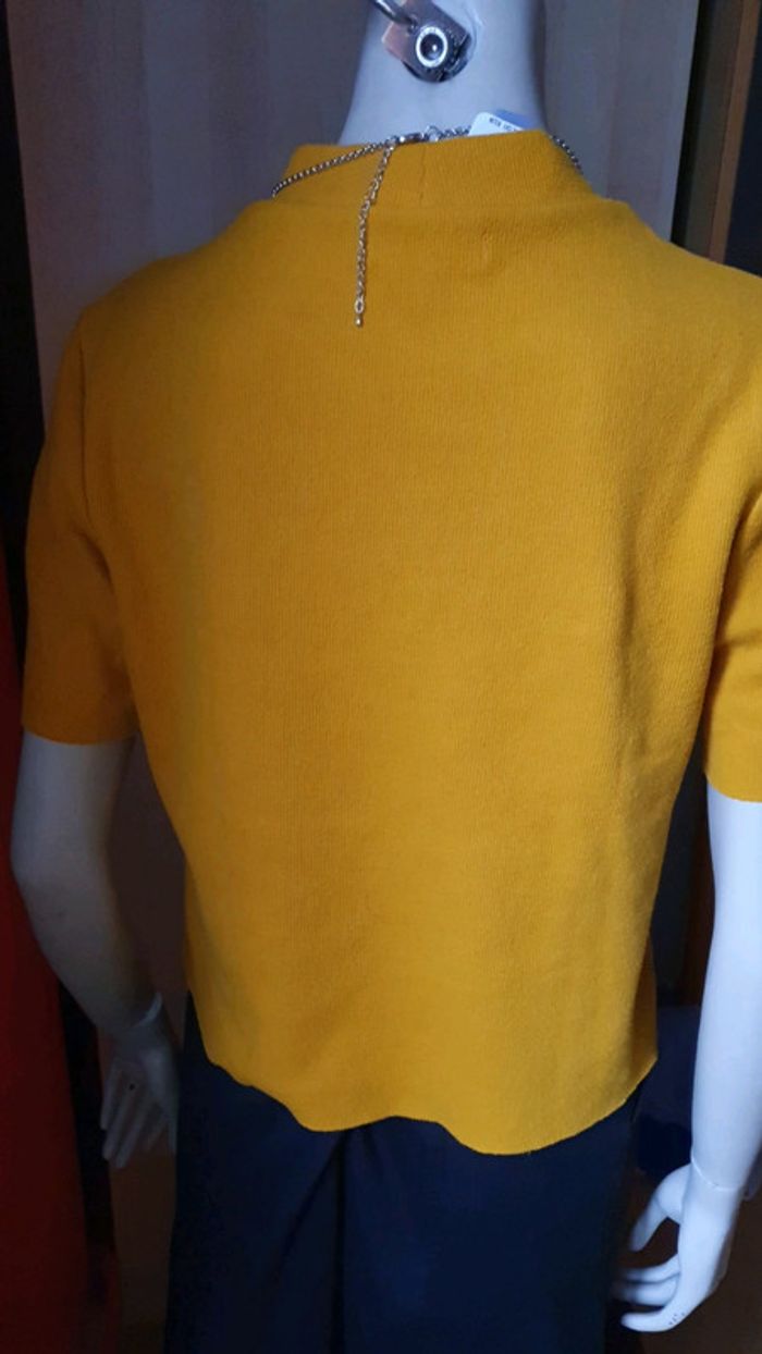 Pull court - photo numéro 4