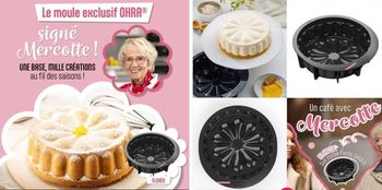 Moule Guy demarle neuf mercotte