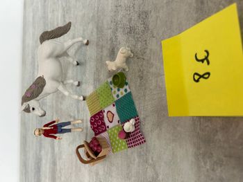cavalière schleich cheval chien picnic avec accessoires