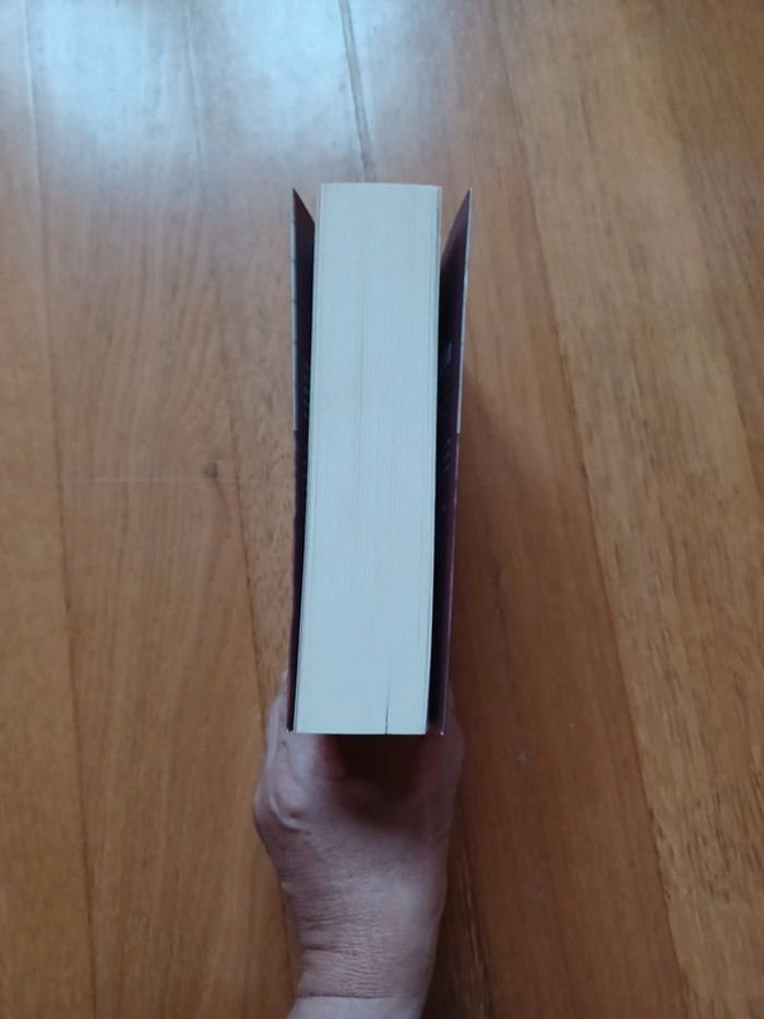 Roman heritage - photo numéro 3