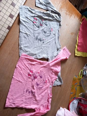 Lot 2 Tee-shirt 2ans coton