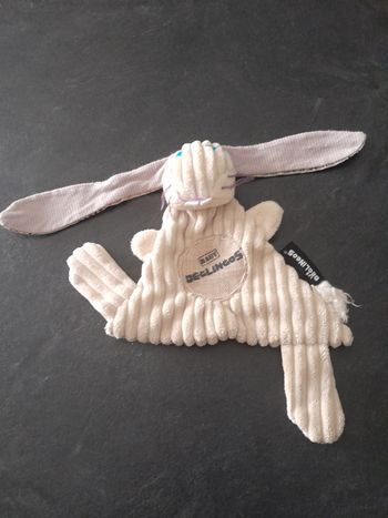 Lapin les Déglingos 