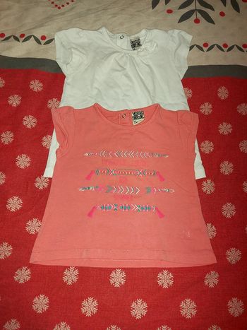 Lot de 2 tee shirt TAO 12 mois