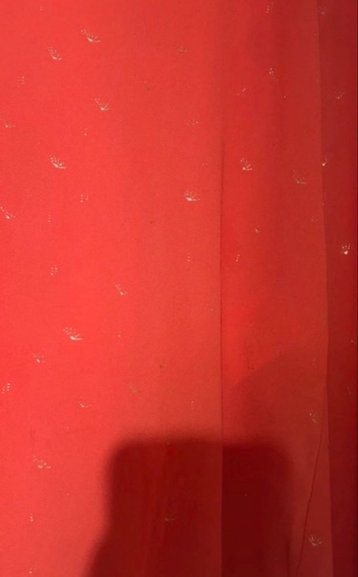 Chemisier - photo numéro 2