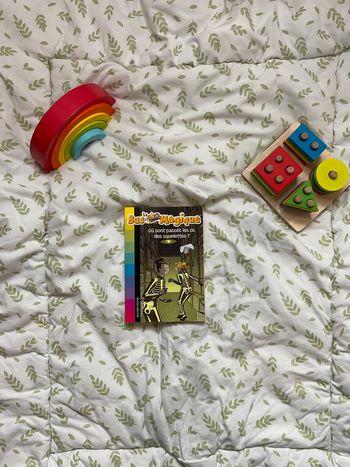 livre le bus magique où sont passés les os des squelettes tome 4