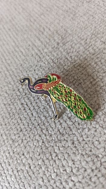 Broche indienne Paon