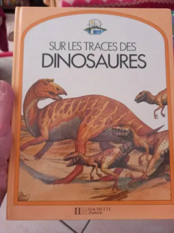 Sur les traces des dinosaures 🦕