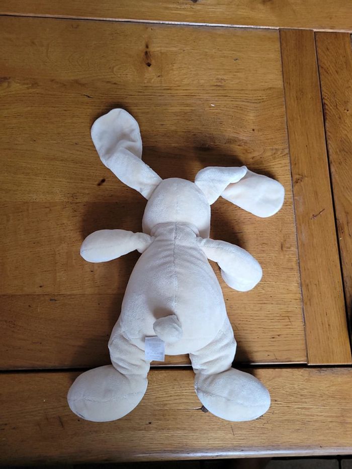 Chien Orchestra Bazibao - photo numéro 2