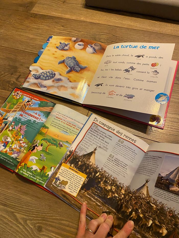 Lot 3 livres enfant découvertes - photo numéro 7