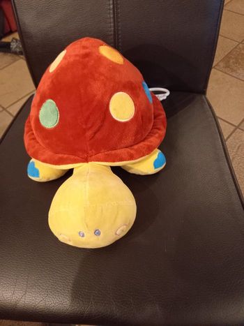 Grosse tortue boite a musique